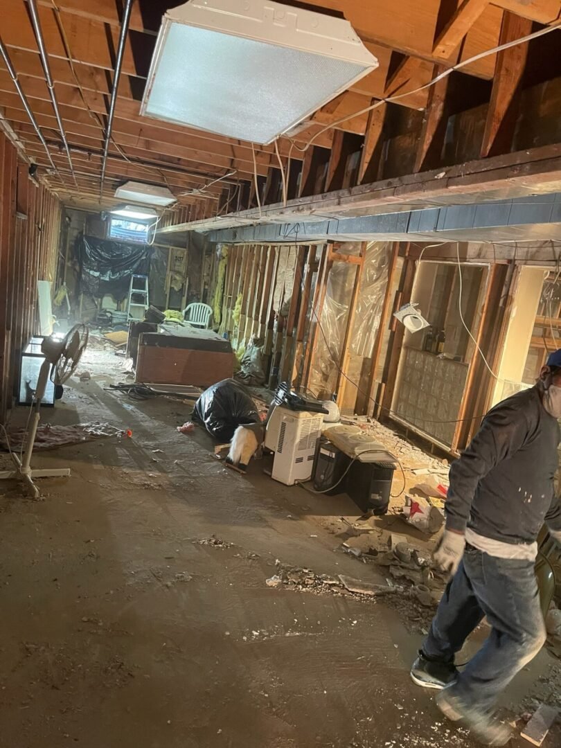 Moldmen NJ mold removal service